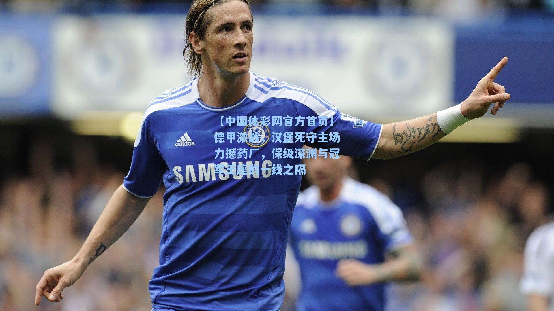 【中国体彩网官方首页】德甲激战，汉堡死守主场力撼药厂，保级深渊与冠军王座的一线之隔